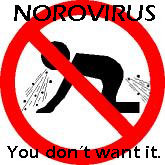  - norovirus-21