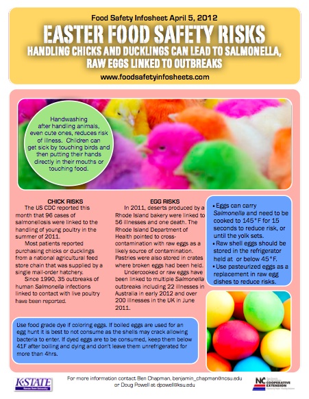 Egg Handling and Safety Tips at Easter