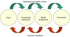 food_safe_culture_market(2)