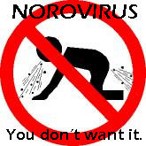 norovirus-2