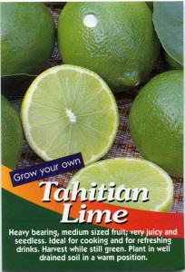 Tahitian-Lime