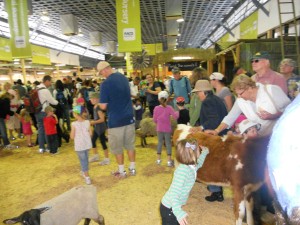 ekka.petting.zoo