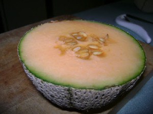 rock.melon.may.12