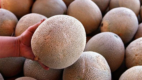 Cantaloupe auditor also criticized in U.S. criminal charges over