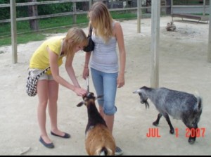 courtlynn.petting.zoo