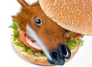 horse-hamburger