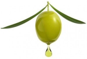 olive.managment