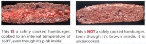 hamburger-safe and unsafe-thumb-450x138-175
