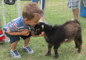 goat.petting.zoo