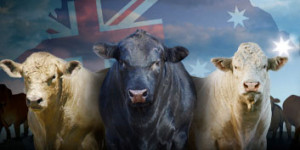 BeefAustralia2012