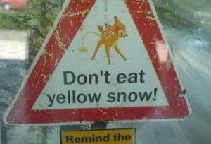 Dont-eat-yellow-snow4