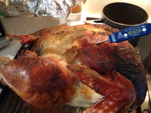 turkey.thanksgiving.oct.12