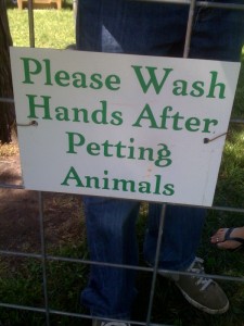 petting.zoo.handwash.10
