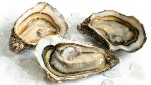 Oysters-848x477