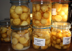 cannedpotatoes2009