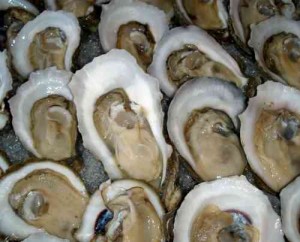 raw.oysters.wash