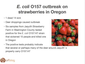 e.coli.O157.strawberry
