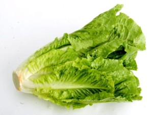 Romaine-Lettuce-Photos