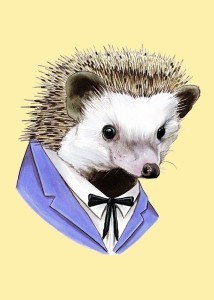 hedgehog.suit