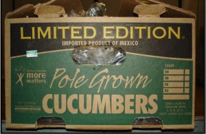 salm.cucumber.sep.15