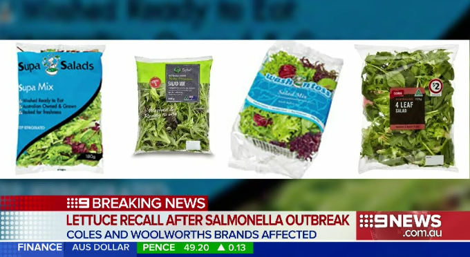28 Sick Salmonella Outbreak Linked To Coles And Woolworths Lettuce In Australia Barfblog