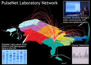 pulsenet-lab-network-575px