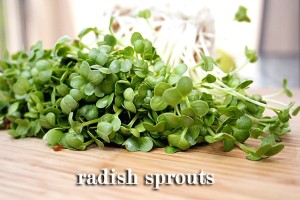 radish_sprouts