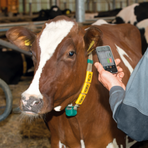 cattle.data.smartphone
