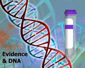 forensic DNA