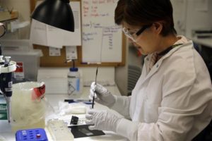 Microbiologist Mi Kang works to identify a strain of E. coli from a specimen in a lab at the Washington State Dept. of Health Tuesday, Nov. 3, 2015, in Shoreline, Wash. Chipotle's industry-leading commitment to tracking its ingredients from farm to table is being put to the test by an E. coli outbreak that has sickened at least 37 people as of Tuesday, nearly all of whom ate recently at one of the chain's restaurants in Washington state or Oregon. Scientists also said that they identified the specific microorganism responsible, which they believe was carried on fresh produce such as lettuce or tomatoes. (AP Photo/Elaine Thompson)