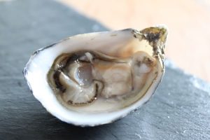 raw_oyster