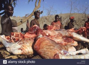 camel-meat-for-sale-in-a-market-in-the-gold-mining-are-of-northern-dj02h2