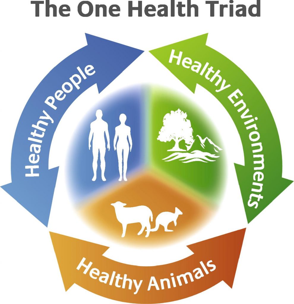 first-we-take-manhattan-then-berlin-zoonoses-in-the-food-chain-barfblog