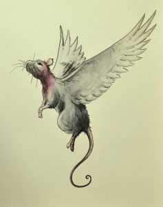 pigeon-rats-wings